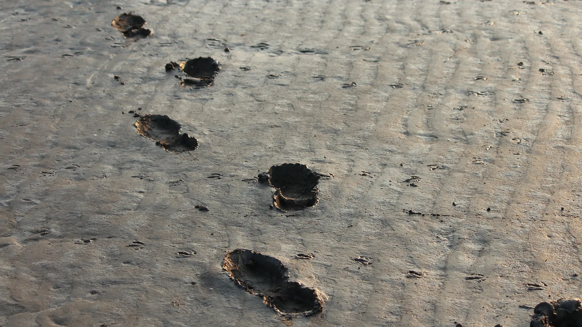Rubrik_Politik_und_Recht_Fussabdruck_c._Pixabay_footprints-284708_1920
